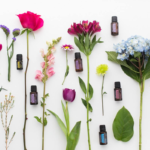 17311328_10155127653224314_5083803832451232356_o